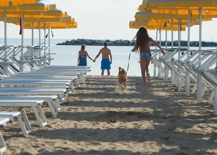 New Castle 3* تْشيزيناتيكو